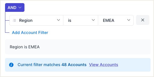 Filter builder showing Region is EMEA condition with 48 matching Accounts